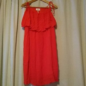 Brand New Laundry by Shelli Segal